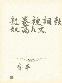 龙卷被调教成肉奴高h文