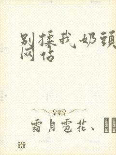 别揉我奶头嗯啊网站