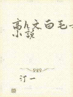 高h文白毛女h小说