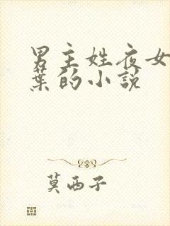 男主姓夜女主姓叶的小说