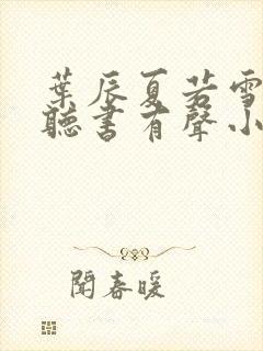 叶辰夏若雪孙怡听书有声小说封面