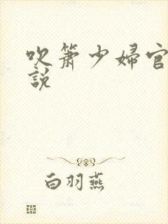 吹箫少妇官场小说