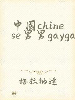 中国chinese男男gaygay网页