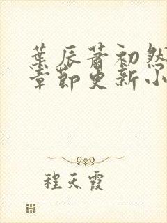 叶辰萧初然最新章节更新小说