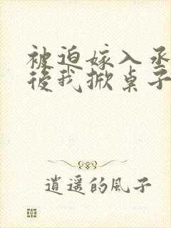 被迫嫁入丞相府后我掀桌子了