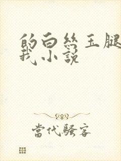 的白丝玉腿夹住我小说