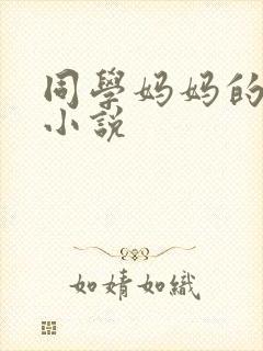 同学妈妈的丝袜小说封面