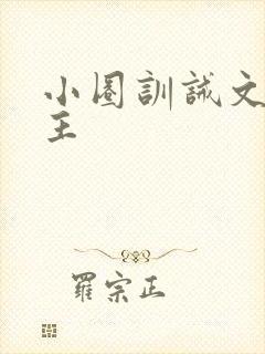 小圈训诫文双女主封面