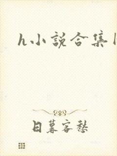 h小说合集网
