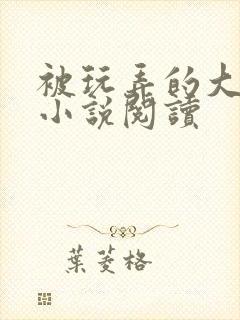 被玩弄的大小姐小说阅读封面