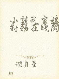 小说我家娘子不对劲在线阅读