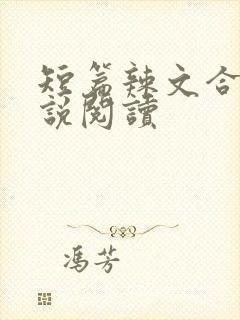 短篇辣文合集小说阅读封面