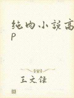纯肉小说高hnp