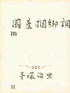 国产捆绑调教sm封面