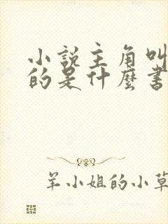 小说主角叫林凡的是什么书封面