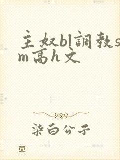 主奴bl调教sm高h文封面