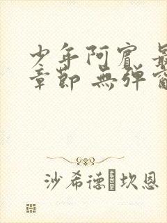 少年阿宾 最新章节 无弹窗 笔趣阁