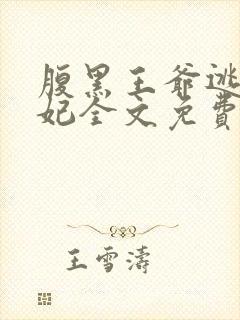 腹黑王爷逃跑王妃全文免费封面