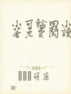 小可轮回小说原著免费阅读