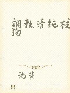 调教清纯校花母狗