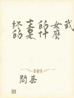 终末的女武神讲的是什么