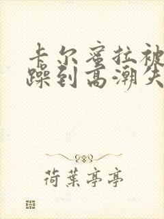 卡尔蜜拉被狂c躁到高潮失禁小说封面