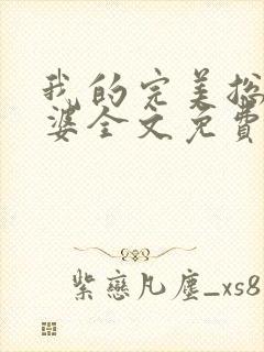 我的完美总裁老婆全文免费阅读