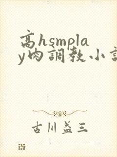 高hsmplay肉调教小说封面