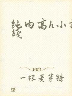 纯肉高h小说在线
