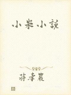 小米小说