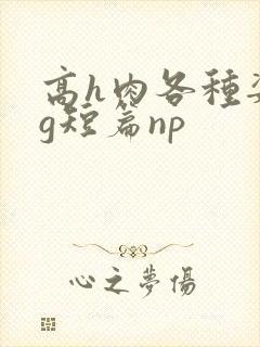 高h肉各种姿势g短篇np