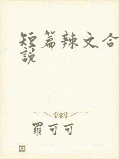 短篇辣文合集小说