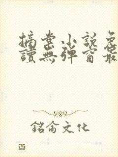 摘棠小说免费阅读无弹窗最新章节封面