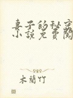 妻子的秘密吴双小说免费阅读