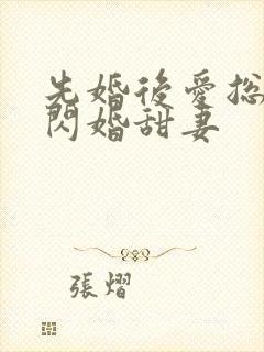 先婚后爱总裁的闪婚甜妻