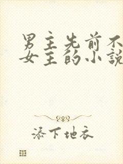 男主先前不喜欢女主的小说封面