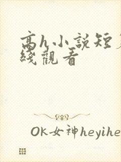 高h小说短篇在线观看封面