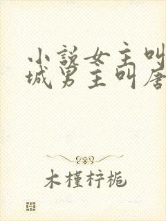 小说女主叫顾倾城男主叫唐时封面