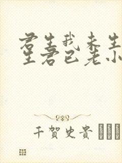 君生我未生,我生君已老小说