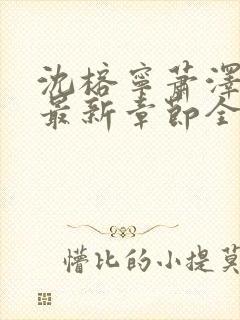 沈榕宁萧泽小说最新章节全文阅读