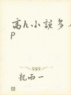 高h小说多人np