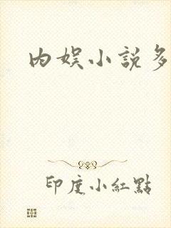 内娱小说多女主