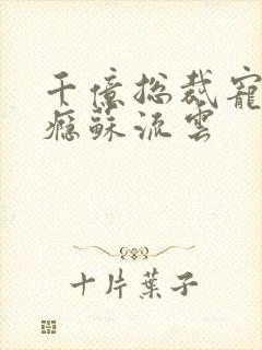 千亿总裁宠妻上瘾苏流云