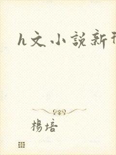 h文小说新御