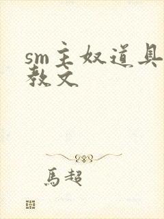 sm主奴道具调教文封面