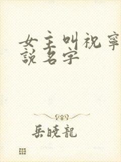 女主叫祝宁的小说名字封面