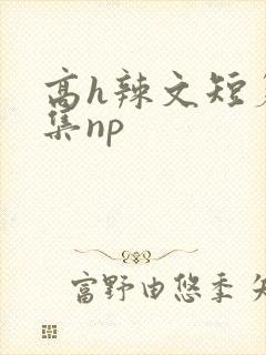 高h辣文短篇合集np封面