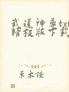 武道神尊txt精校版下载封面
