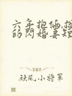 六年抱俩,总裁的闪婚妻短剧