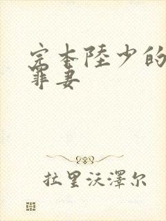 完本陆少的隐婚罪妻